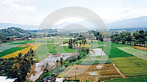 beautiful view of rice fields in the morning