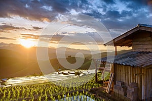 Beautiful view of rice terraces during sunset on the mountain in Mae Chaem District Chiang Mai Province in Northern Thailand