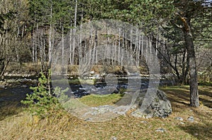 Beautiful view of the Rila mountain with forest and river Iskar