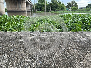 beautiful view of the river in the park