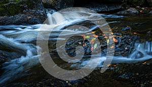 Beautiful view of a river stream over the rocks covered with autumnal colorful leaves