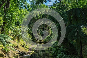 Beautiful view of the river and trees in Terra Nostra Park, Furnas, Sao Miguel, Azores, Portugal