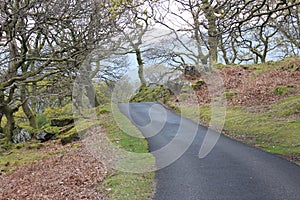 Beautiful view of road in the park of Snowdonia