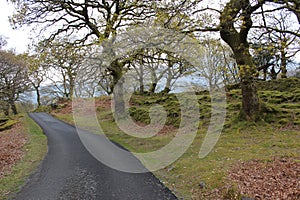 Beautiful view of road in the park of Snowdonia