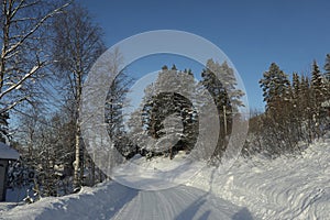 Beautiful view of road and trees covered with snow outdoors. Winter landscape