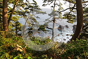 Beautiful view of a rocky Japanese sea lagoon through trees