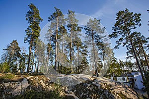 Beautiful view of rocky landskape with green pine trees and white house on blue sky backgrounds.