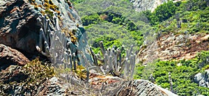 Beautiful view of the rocky shoreline of Arraial do Cabo in Rio de Janeiro, Brazil