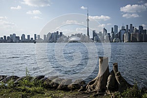 Beautiful view of Rogers Centre and CN Tower in Toronto