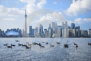 Beautiful view of Rogers Centre and CN Tower in Toronto