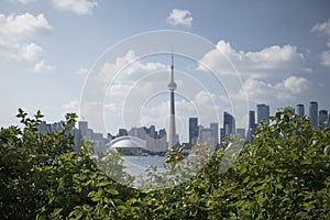 Beautiful view of Rogers Centre and CN Tower in Toronto