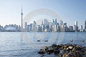 Beautiful view of Rogers Centre and CN Tower in Toronto