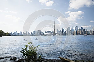 Beautiful view of Rogers Centre and CN Tower in Toronto