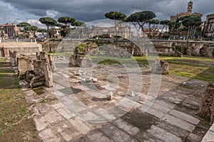 Beautiful view of Rome in Italy. Ancient historical ruins, famous monuments, alley`s and streets