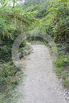 Beautiful view of Sendero Majaceite in El Bosque, Cadiz, Spain photo