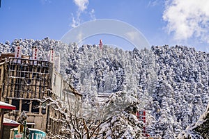 Beautiful View of Shimla City After a Snowfall
