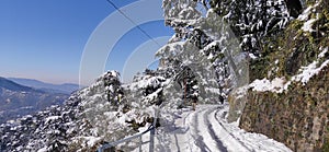 Beautiful View of Shimla City After a Snowfall