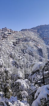 Beautiful View of Shimla City After a Snowfall