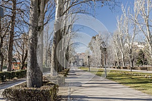 Beautiful view of sidewalks between trees, shrubs and green grass, some lamps