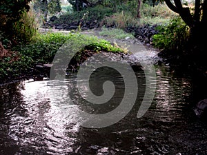 Beautiful View of a small Water channel for irrigation of small farms