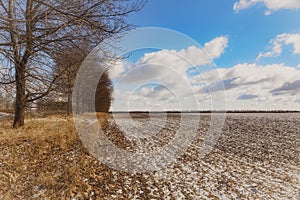 Beautiful view of a snow-covered field with yellow grass against a background of autumn forest, blue sky with white clouds