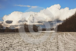 Beautiful view of a snow-covered field with yellow grass against a background of autumn forest, blue sky with white clouds