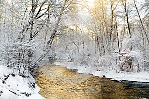 Beautiful view of snow covered forest. Narrow river flowing between snow covered trees. Chilly winter day