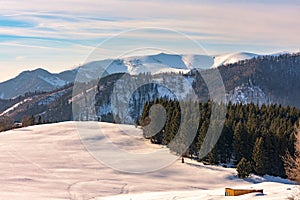 Krásny výhľad na zasnežené pole so stromami a Veľkou Fatrou na Slovensku