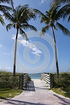 View of Sombrero Beach Seen from One of Its Entrances, Marathon, Florida photo