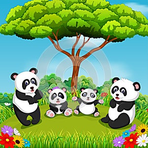 The beautiful view with some panda playing together under the tree