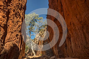 Beautiful view of the Standley Chasm during sunrise in the West MacDonnell National Park