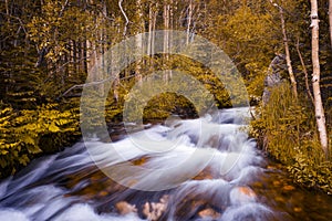 Beautiful view of a stream in the Rocky Mountains National Park, in the State of Colorado