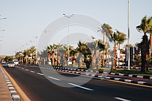 Beautiful view of the street in Egypt with a palm tree alley. Transport street with asphalt road. Sunny summer day with blue sky