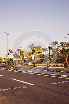 Beautiful view of the street in Egypt with a palm tree alley. Transport street with asphalt road. Sunny summer day with blue sky