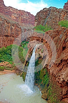 Beautiful view of a stunning Havasu Falls in Supai with foamy waters flowing into the river