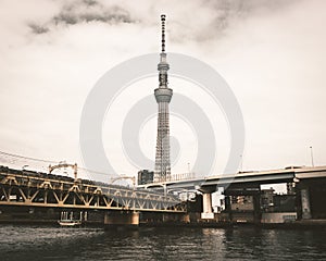 Beautiful view of the Sumida Park in Taito, Japan