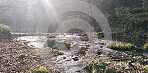 Beautiful view of the sunlit Gradac River in Serbia, one of the cleanest rivers in Europe