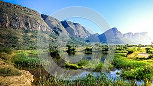 Beautiful view of swamp with hippos and a mountain range