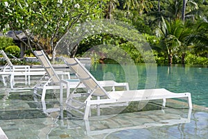 Beautiful view of swimming pool with Green tropical garden in cozy resort, phi phi island, Thailand