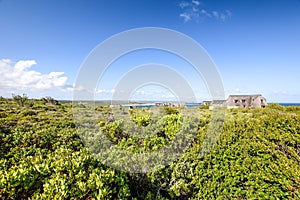 Beautiful view of thatched houses in Still Bay, South Africa.