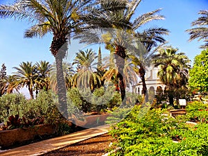 Beautiful view of the Tiberias, Mount of Blessedness, Israel