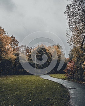 Beautiful view of a tiled narrow path leading to a verdurous park in autumn