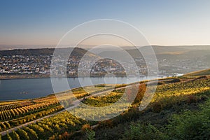 Beautiful view to Bingen and Rheinhessen