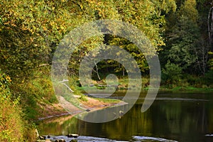 Beautiful view to the calm lake surrounded by lush green trees reflecting in water