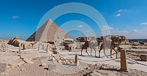 Beautiful View to the One of the Wonders of the Ancient World - Great Pyramids of Giza under Blue Sky and Day Lights of the Sun