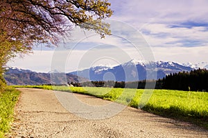 Beautiful view to Rigi mountains from forest pathway