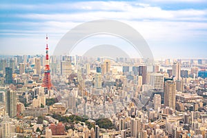 beautiful view of tokyo city with tokyo tower