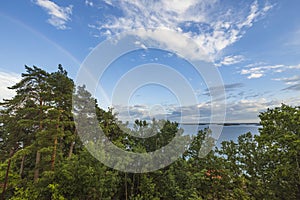 Beautiful view of tops of green trees on blue sky with a rainbow after rain on background Baltic sea.