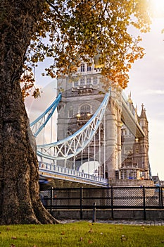 Beautiful view of the Tower Bridge of London, England, during golden autumn time