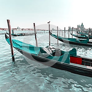 Beautiful view of traditional Gondola on Canal Grande with Basilica di Santa Maria della Salute in Venice, Italy